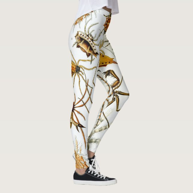 Vintage spindlar eller spindeldjur av Ernst Haecke Leggings (Höger)