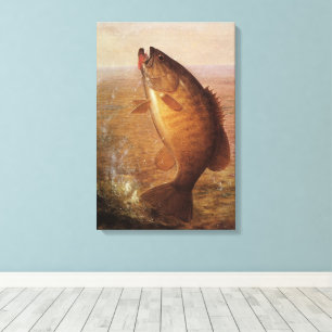 Vintage Sportfiske, Largemouth Brown Bass Fish Canvastryck