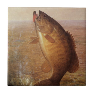 Vintage Sportfiske, Largemouth Brown Bass Fish Kakelplatta