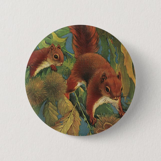 Vintage Squirrels, Forest Creatures, Vilda djur Knapp (Framsida)