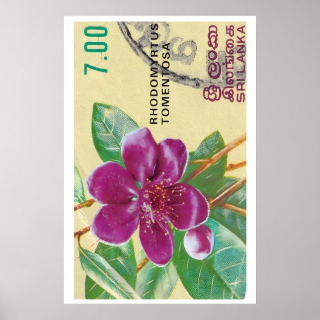 Vintage Sri Lanka Flower Print - Postage Stam Poster (Framsidan)