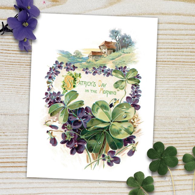 Vintage St. Patrick's Day Shamrocks & Violets Vykort (Skapare uppladdad)
