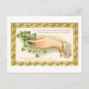 Vintage St. Patrick's Day Shamrocks Vykort