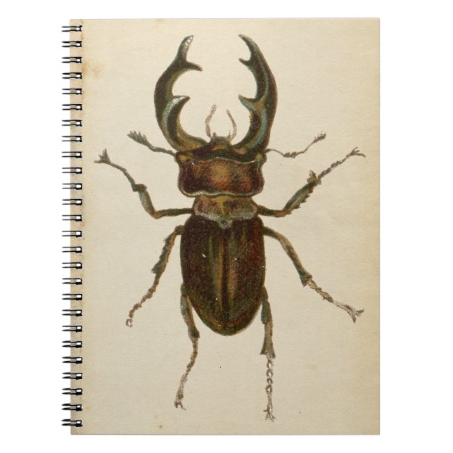 Vintage Stag Beetle Färg Illustration Anteckningsb Anteckningsbok (Framsidan)