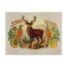 Vintage Stag Horn