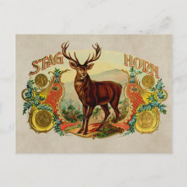 Vintage Stag Horn Vykort