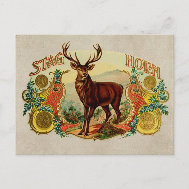 Vintage Stag Horn Vykort (Framsida)