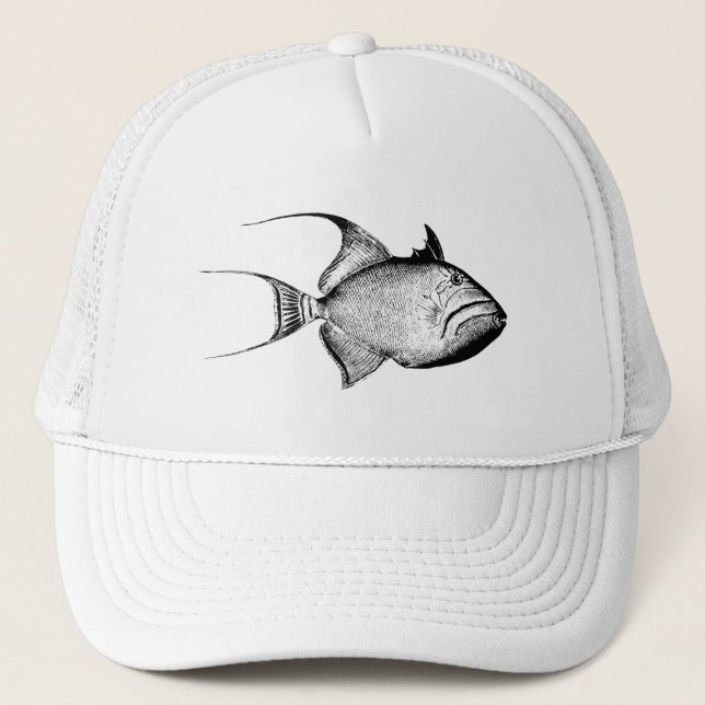 Vintage startar det tomma antika hawaianska keps (Framsida)