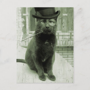 Vintage Steampunk LOL Funny Cat Postcard Vykort