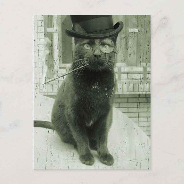 Vintage Steampunk LOL Funny Cat Postcard Vykort (Framsida)