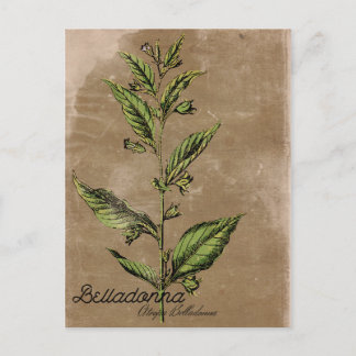 Vintage Stil Belladonna Växt Vykort