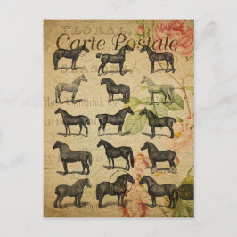 Vintage Stil Black Horses Fransk Carte Postale Vykort