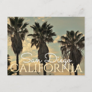 Vintage Stil Handflatan Träd San Diego Kalifornien Vykort