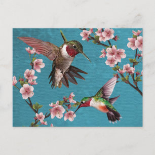 Vintage Stil Hummingbird Painting Postcard Vykort
