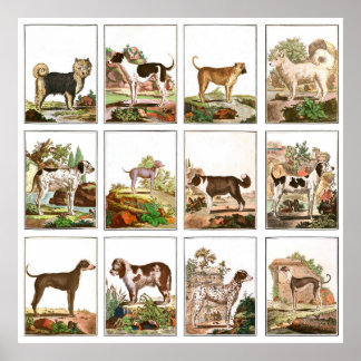 Vintage Stil Hund Collage Poster