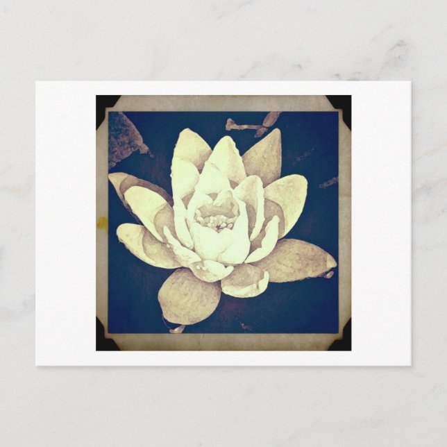 VINTAGE STIL LOTUS "PHOTOGRAPH" POSTCARD VYKORT (Framsida)