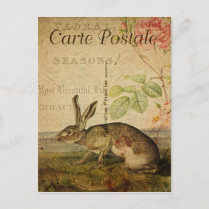 Vintage Stil Rabbit Fransk Carte Postale Vykort