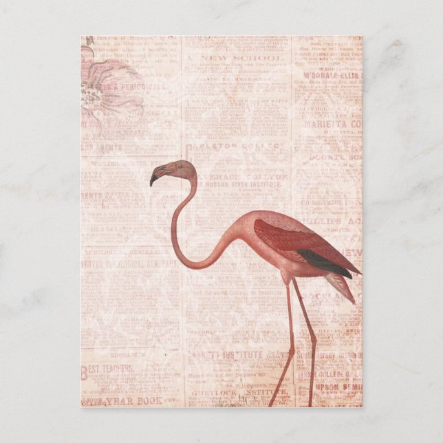 Vintage Stil Rosa Flamingo Vykort (Framsida)