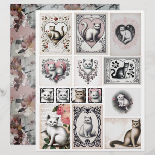 Vintage stil svarta och rosa kattillustrationer