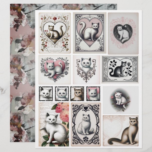 Vintage stil svarta och rosa kattillustrationer (Fram/baksida)