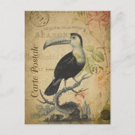 Vintage Stil Toucan Fransk Carte Postale Vykort