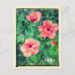 Vintage Stil Tropical Hibiscus Flowers Vykort