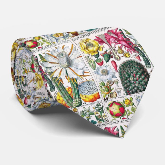 Vintage Stilisert Kaktus Botanisk Bokplansch #32 Slips (Rullad)