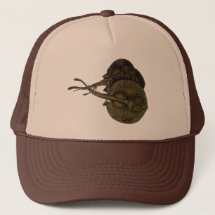 Vintage Sting Rays Stingray, Marine Life Animals Keps