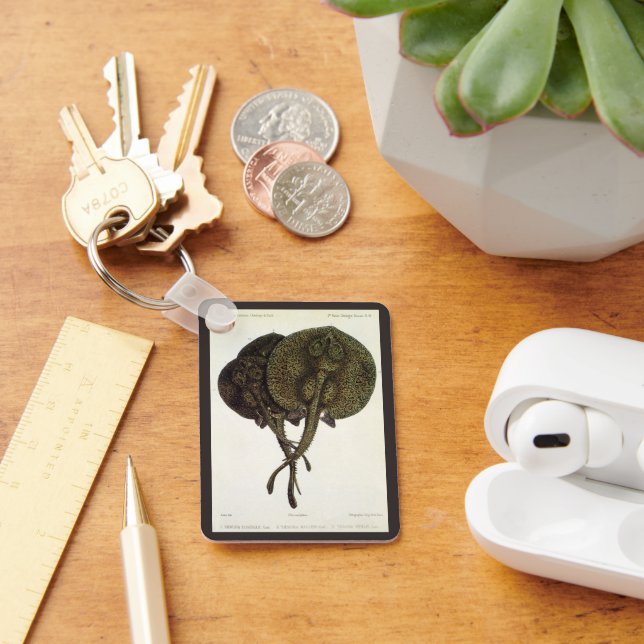 Vintage Sting Rays Stingray, Marine Life Animals Nyckelring (Skrivbord)