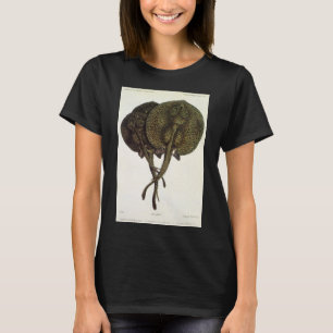 Vintage Sting Rays Stingray, Marine Life Animals T Shirt