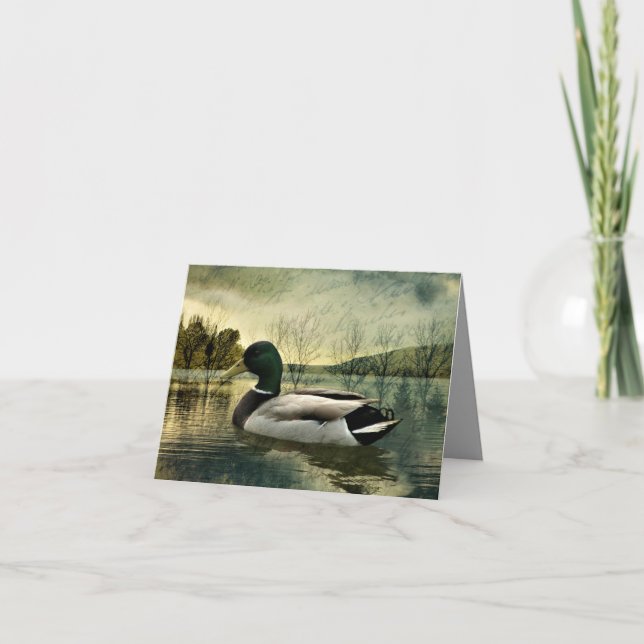 Vintage stokkand väderbiten vykort (Framsida)