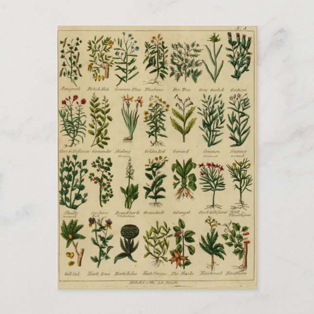 Vintage: Stort vykort - 3 (Framsida)