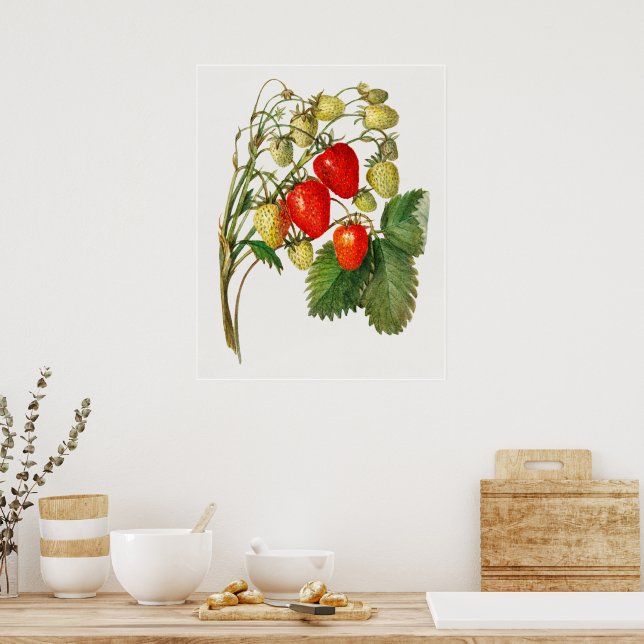 Vintage Strawberry Gren Poster (Kök)