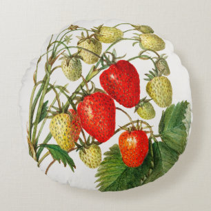 Vintage Strawberry Gren Rund Kudde