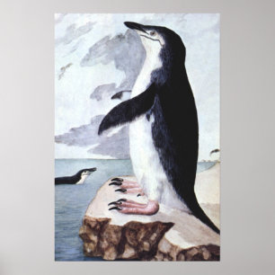 Vintage strupbandspingvin, Fåglar från Antarktis Poster