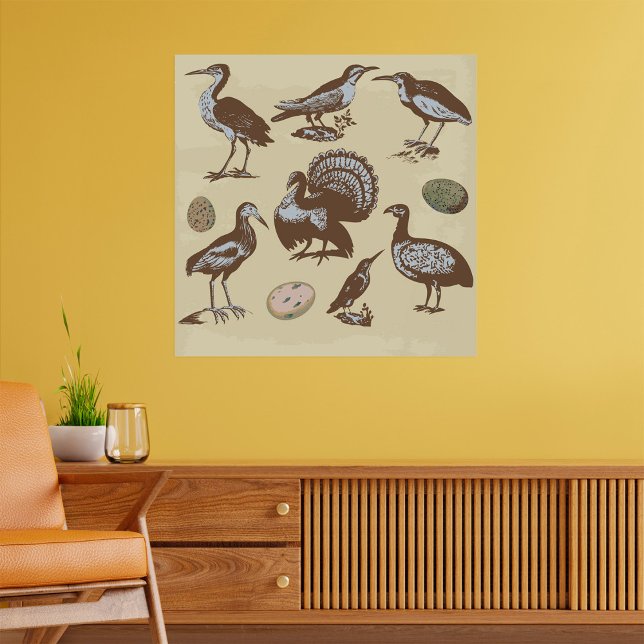 Vintage Style Birds Poster (Skapare uppladdad)