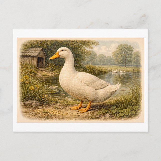 Vintage-Style Duck Illustration Vykort (Framsida)