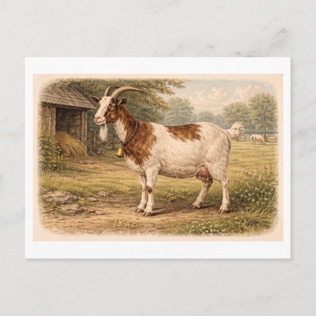 Vintage-Style Goat lllustration Vykort (Framsida)