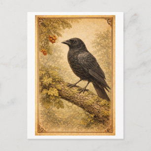 Vintage-Style Illustration av Kråka Vykort