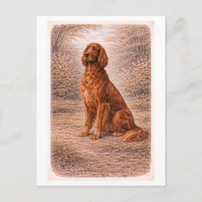 Vintage-Style Irish Setter Vykort (Framsida)