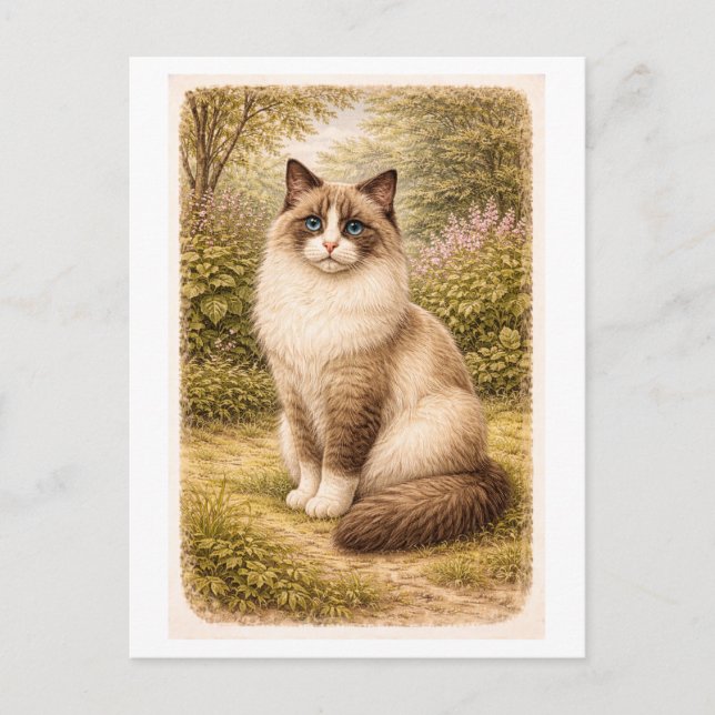 Vintage-Style Ragdoll Cat Illustration Vykort (Framsida)