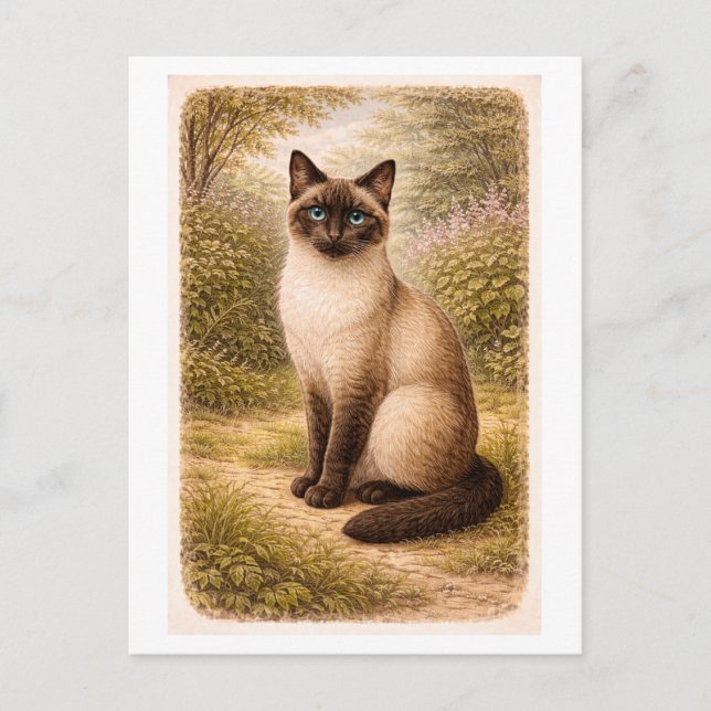 Vintage-Style Siamese Cat Illustration Vykort (Framsida)