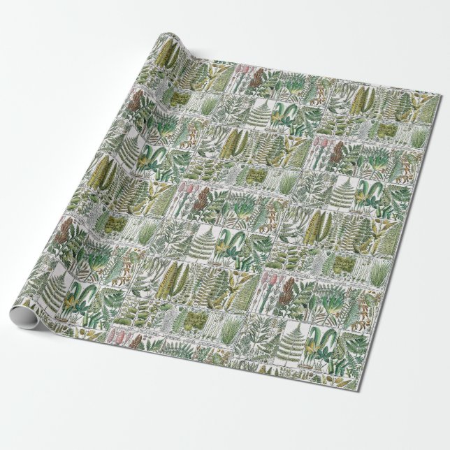 Vintage Styliserade Ormbunksblad Botanisk Bokplans Presentpapper (Utrullad)