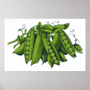 Vintage Sugar Snap Ärtor, Livsmedel, Hälsosamma Gr Poster