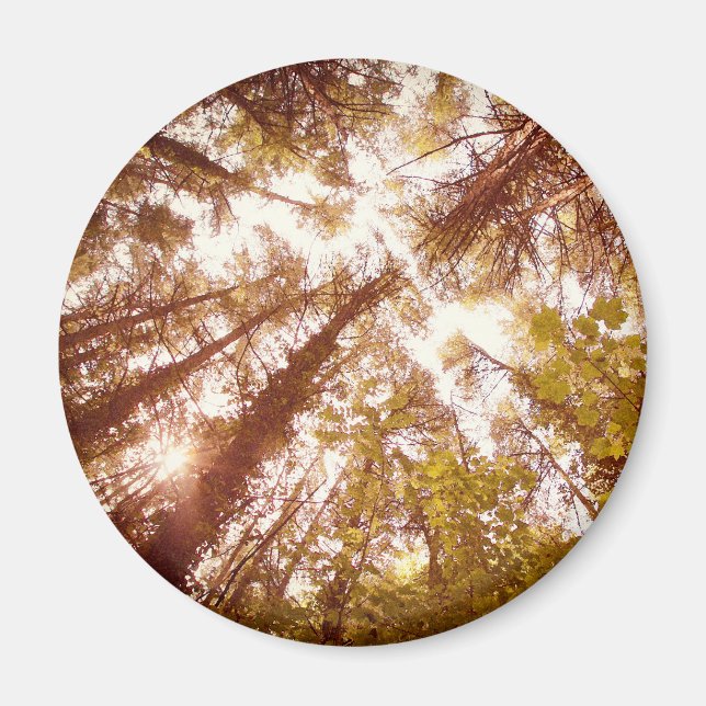 Vintage Summer Träd Magnet (Framsidan)