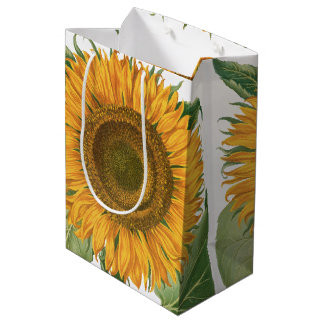 Vintage Sunflower Blomma av Basilius Besler