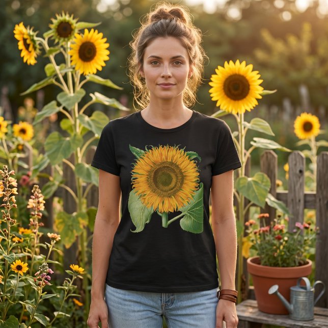 Vintage Sunflower Blomma av Basilius Besler Tröja (Vintage illustration featuring a blooming sunflower from 'Hortus Eystettensis' by Basilius Besler)