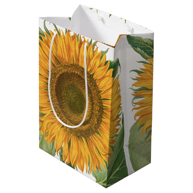 Vintage Sunflower Flower by Basilius Besler (Baksidan Vinklad)