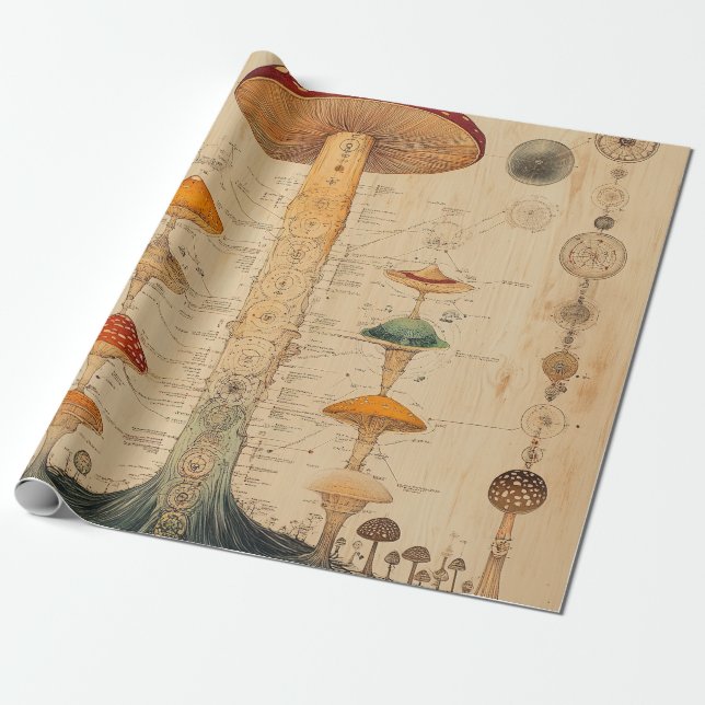 Vintage Svamp Botanisk Diagram (11) Presentpapper (Utrullad)