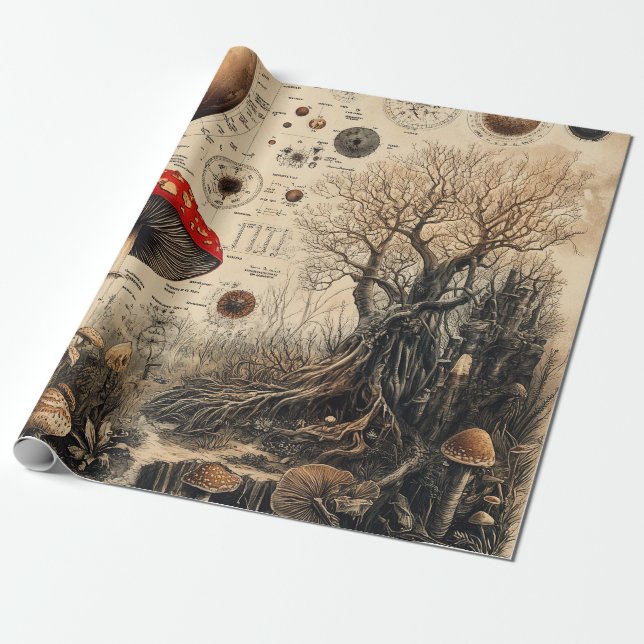 Vintage Svamp Botanisk Diagram (4) Presentpapper (Utrullad)